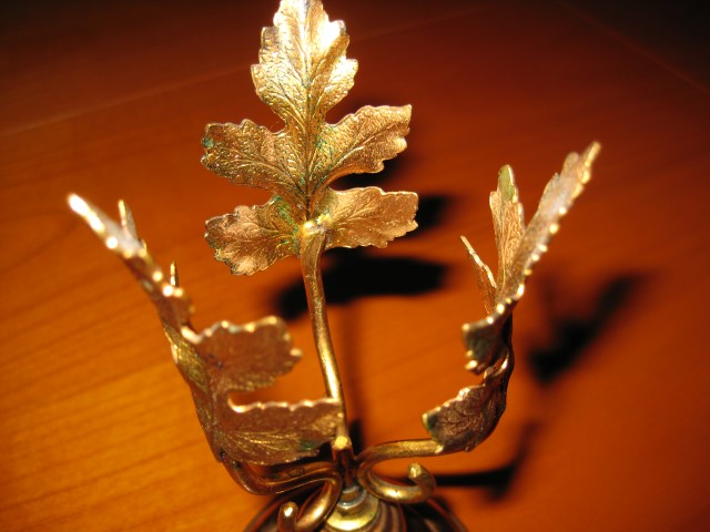 IMG_5550 (Small).JPG