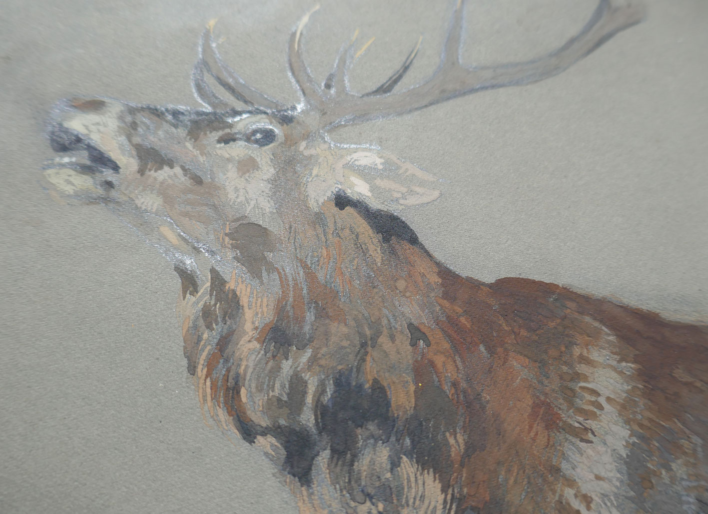 Details Technik Vorskizze Bleistift