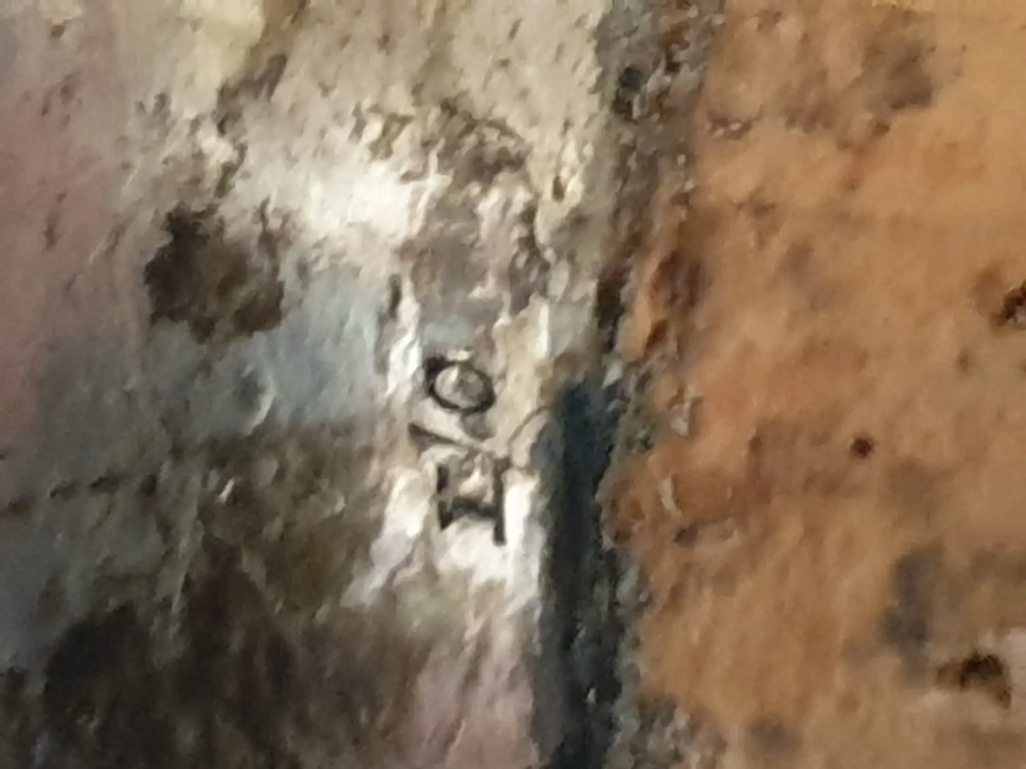 I O