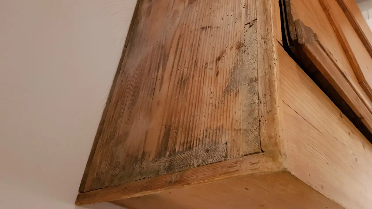 20191220_145542.jpg