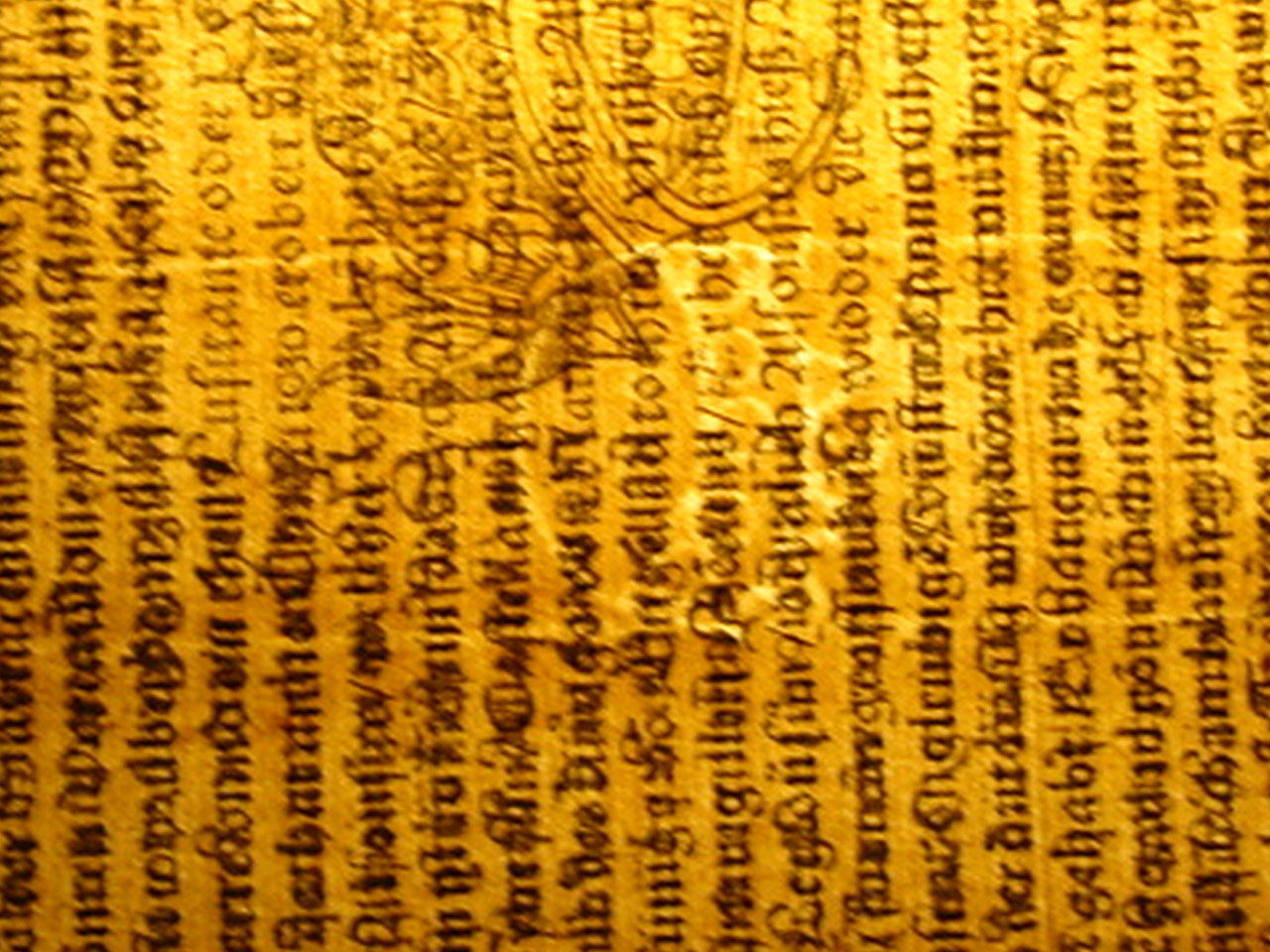 DSC07656-1.jpg