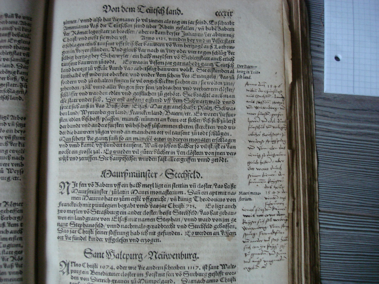 DSC07658-1.jpg
