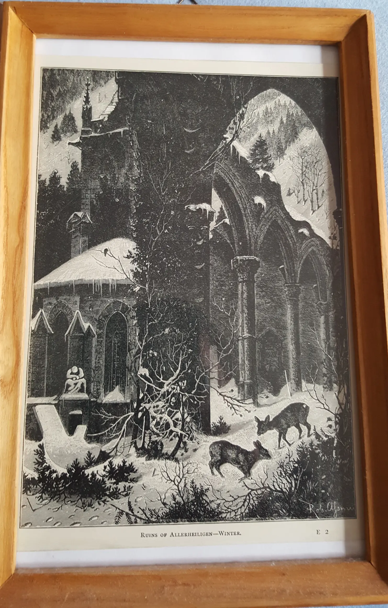 20200216_135123 (2).jpg