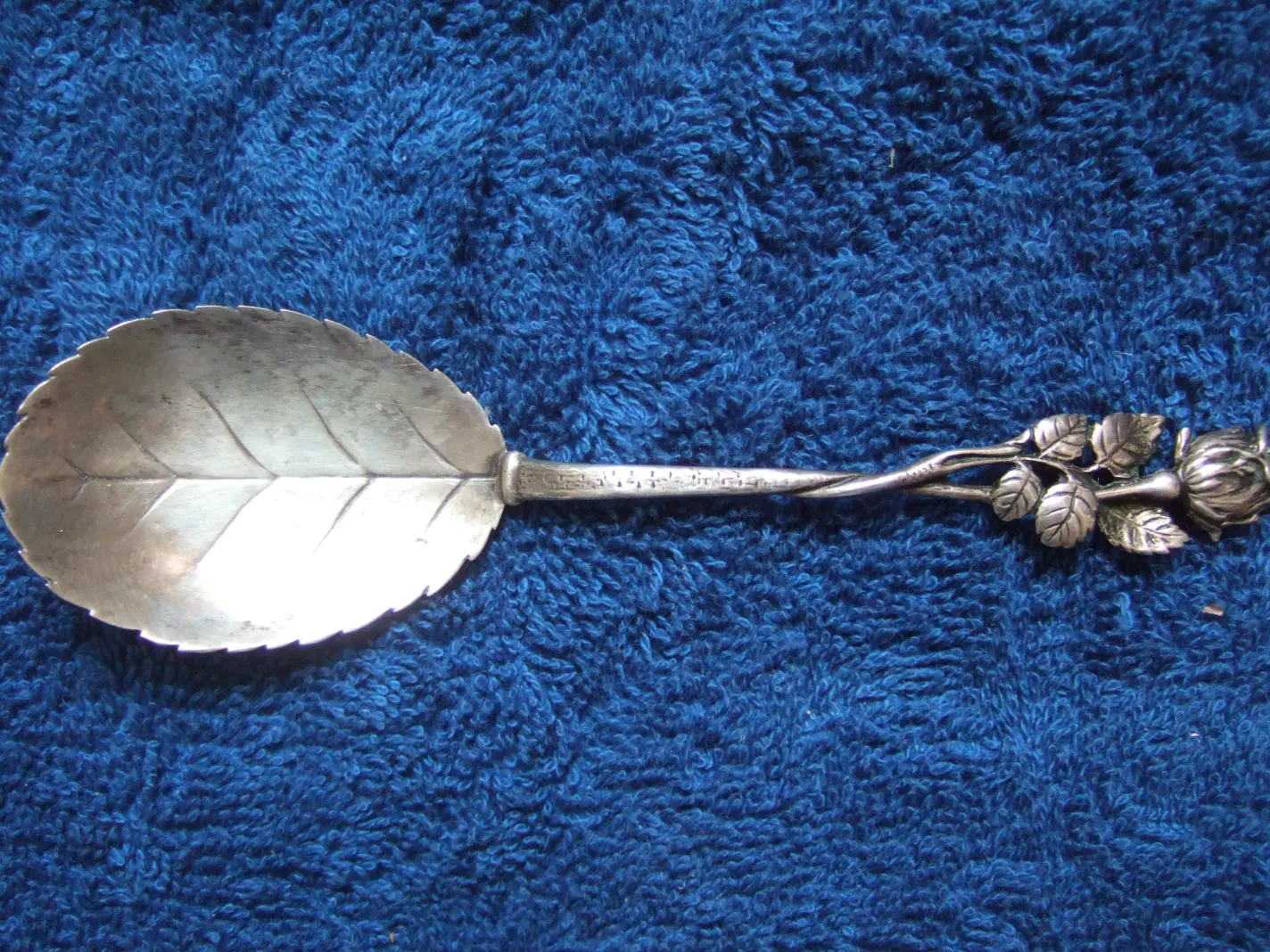 DSCF1699.JPG