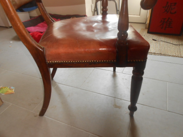 DSCN0901.JPG