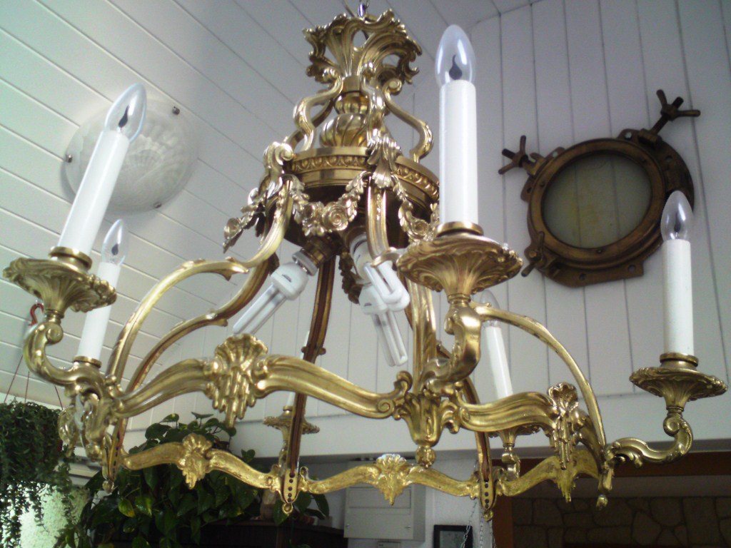 DSC00557.JPG