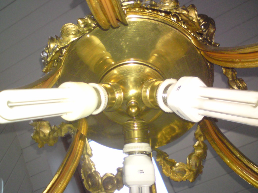 DSC00559.JPG