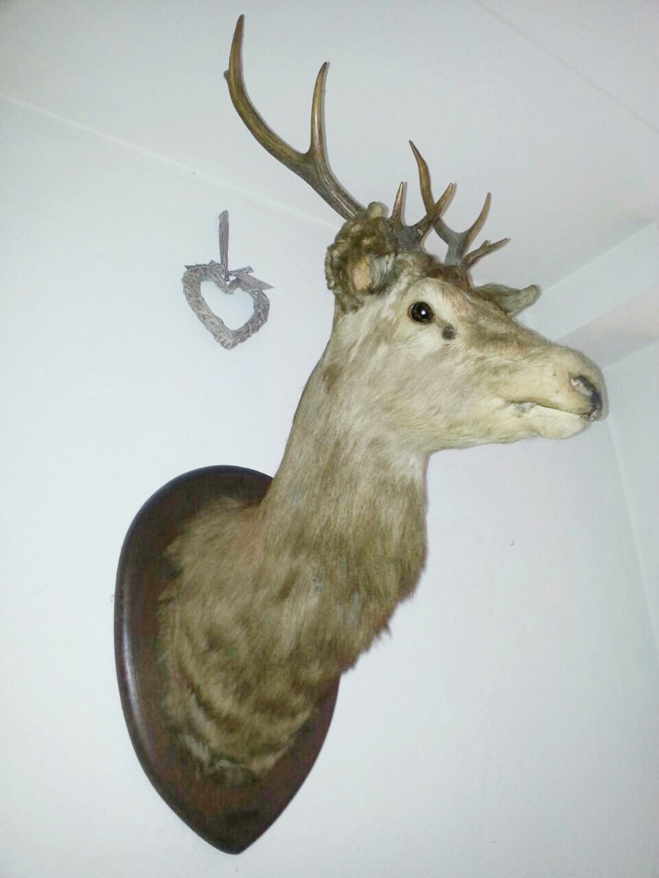 IMG-20140824-WA0002.jpg