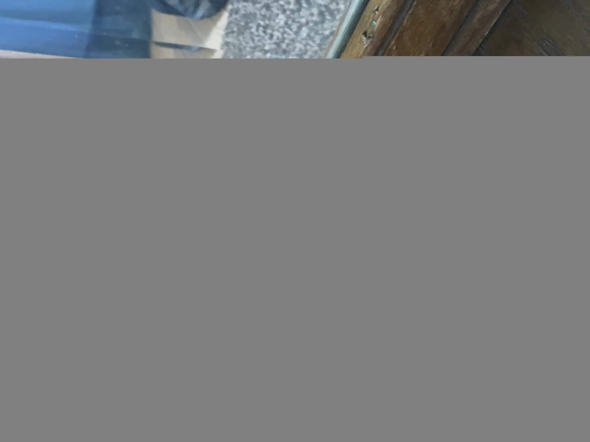 IMG_0273.jpeg