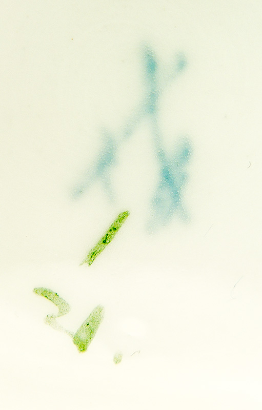 DSCF7746.jpg