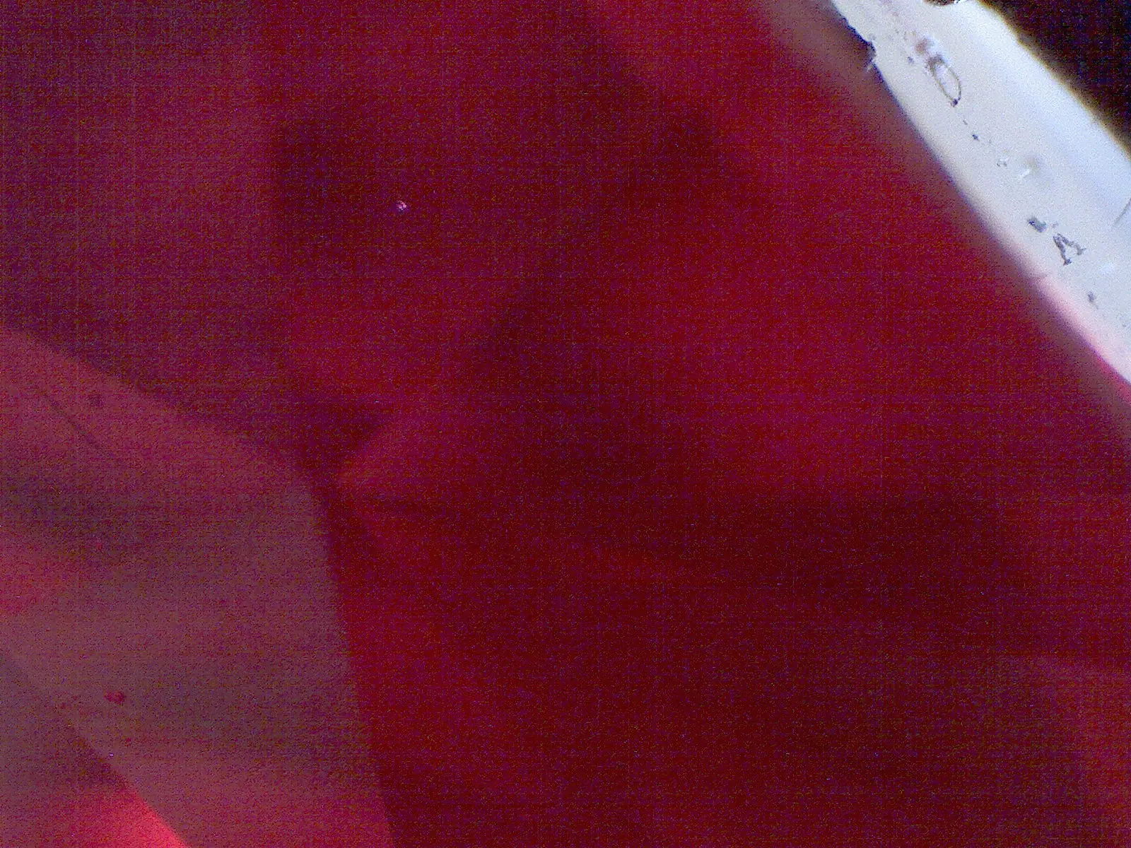 2006261350_0.jpg