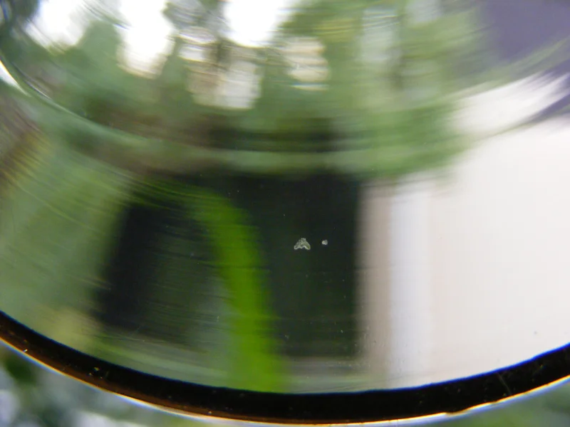 DSCF3437.JPG