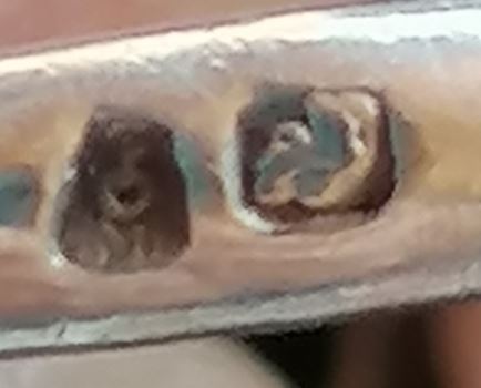 Ring Punze