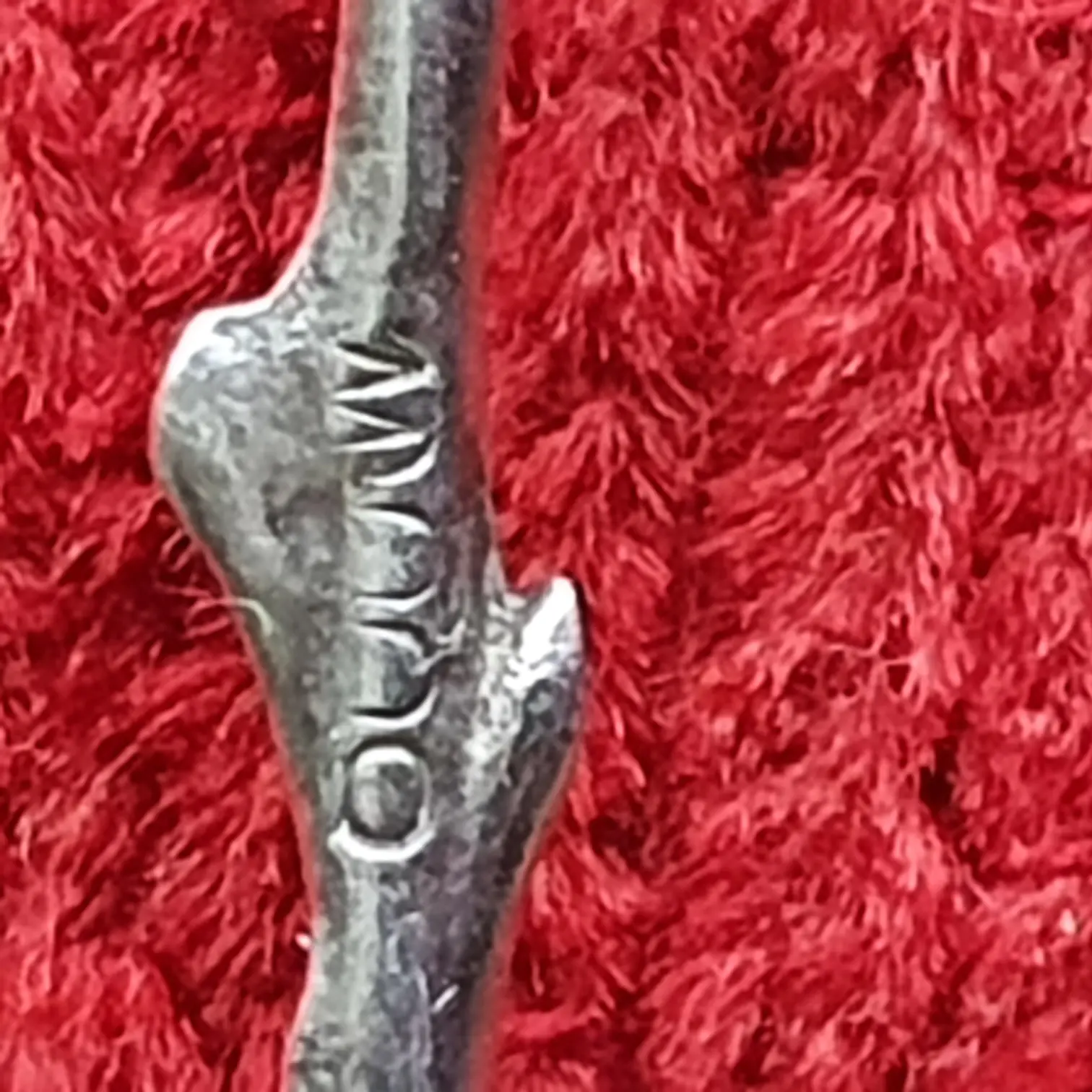 20201002_113733.jpg
