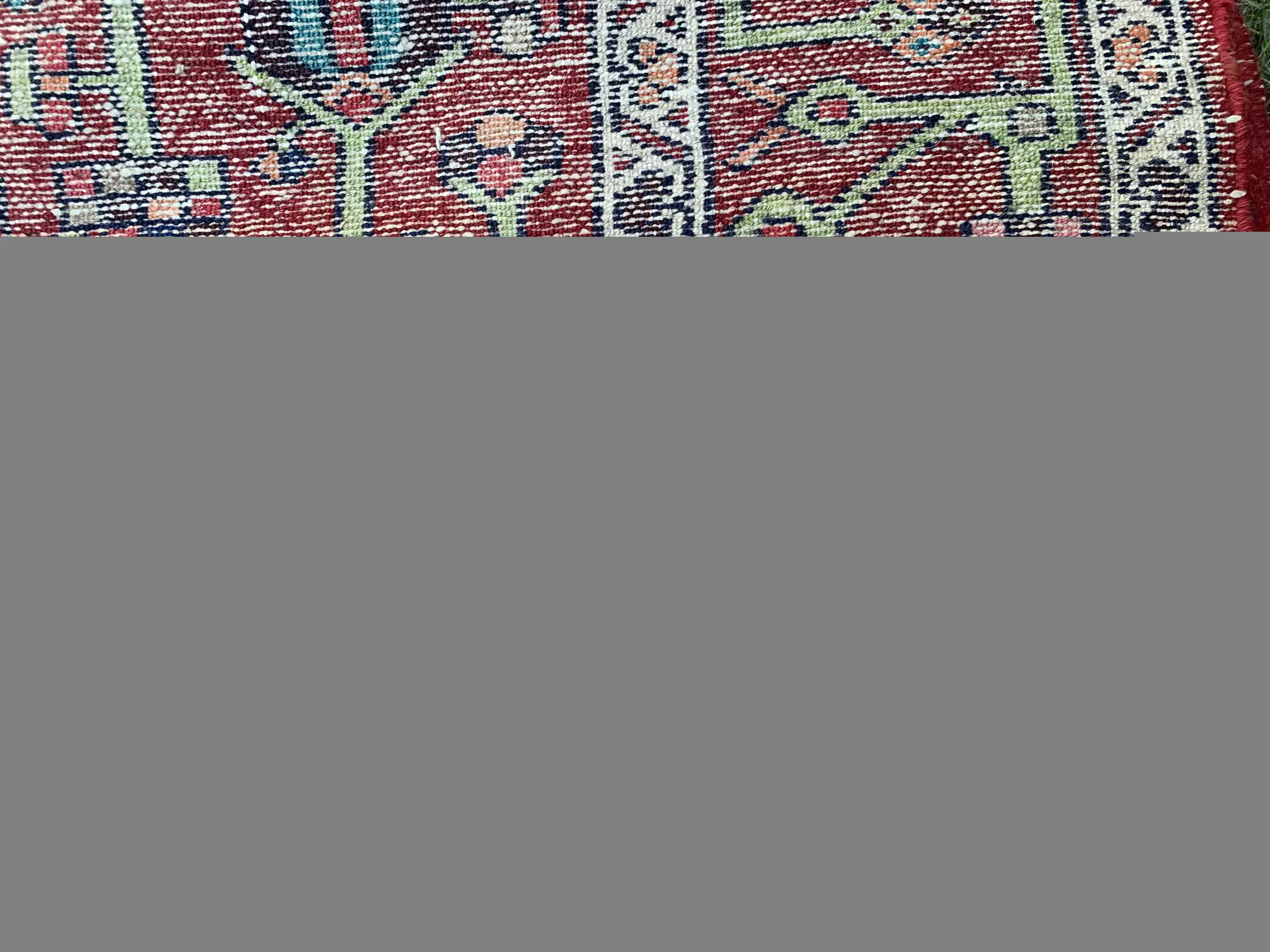 IMG_4737.JPG
