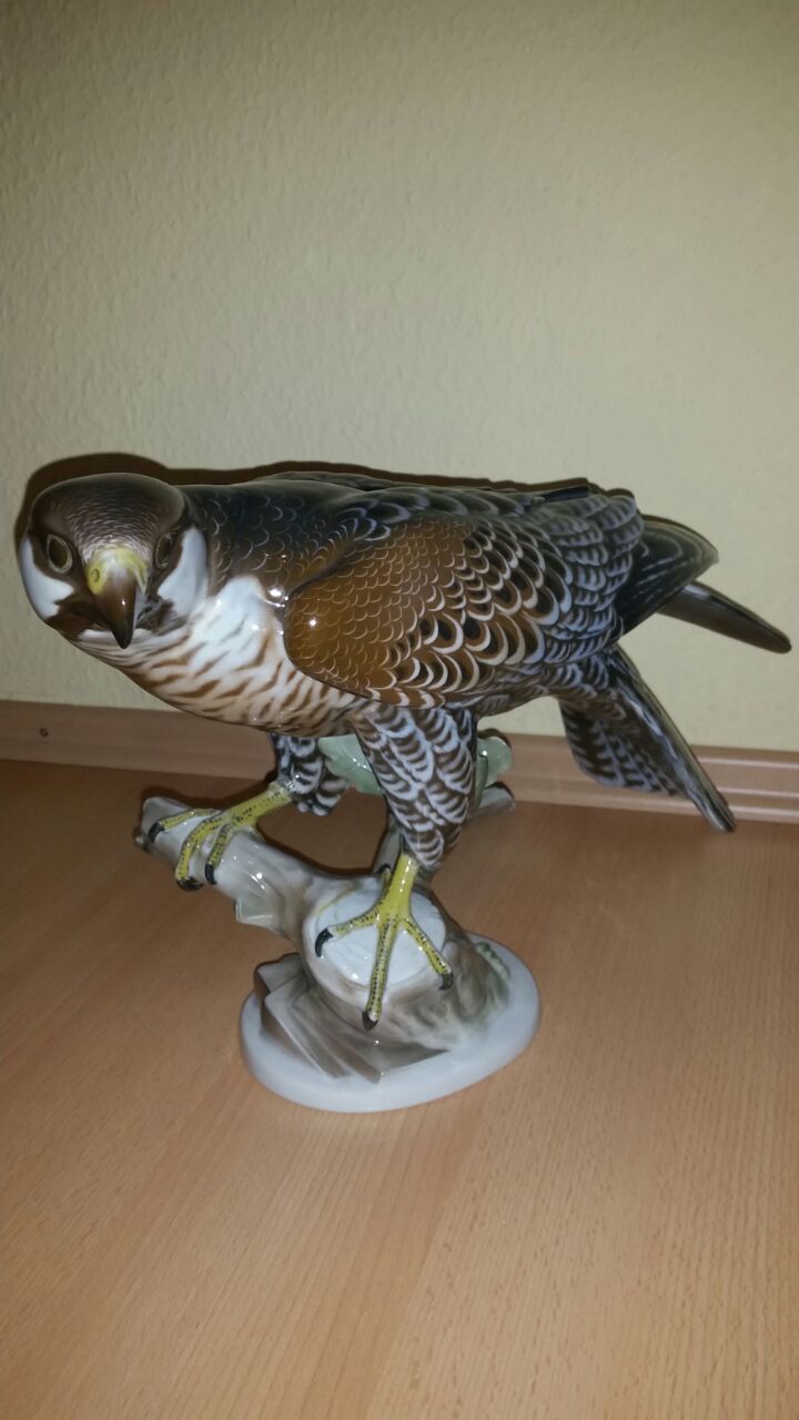IMG-20141230-WA0003.jpg