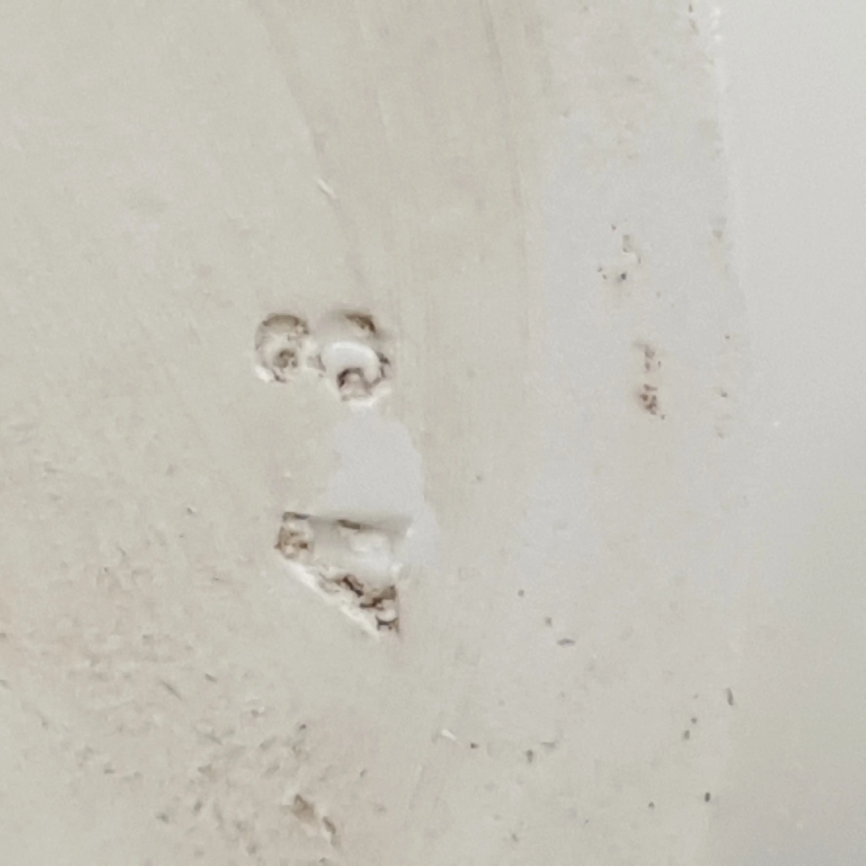 20201124_111306.jpg