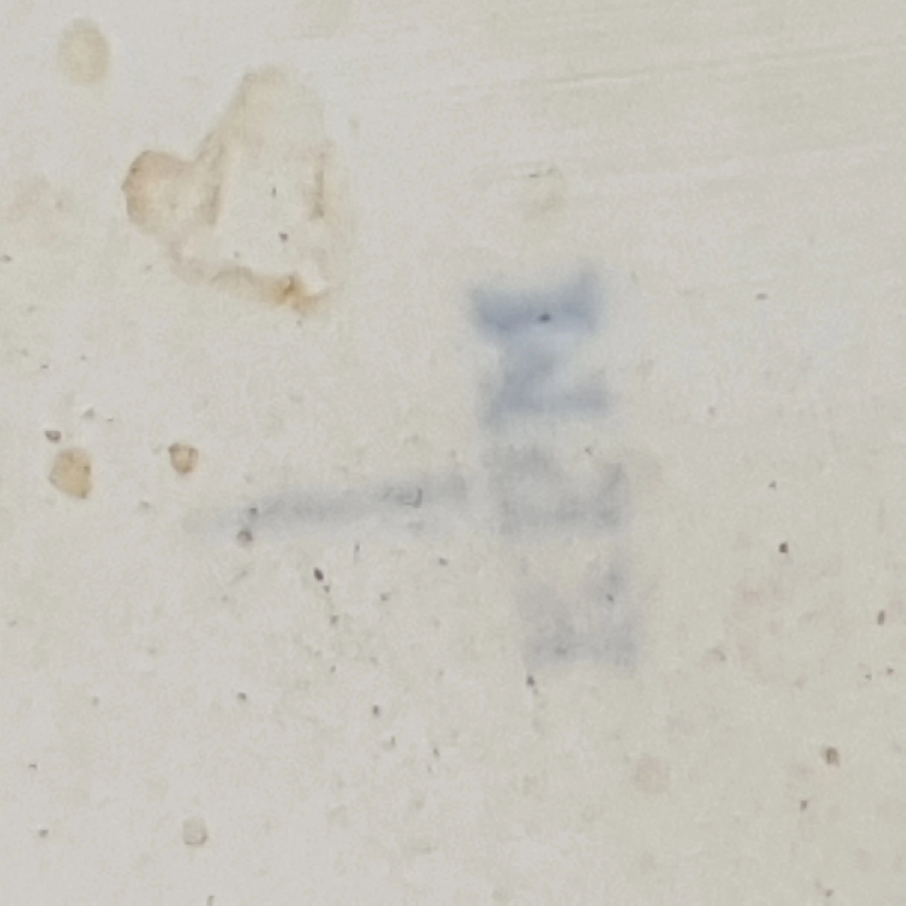 20201124_111314.jpg