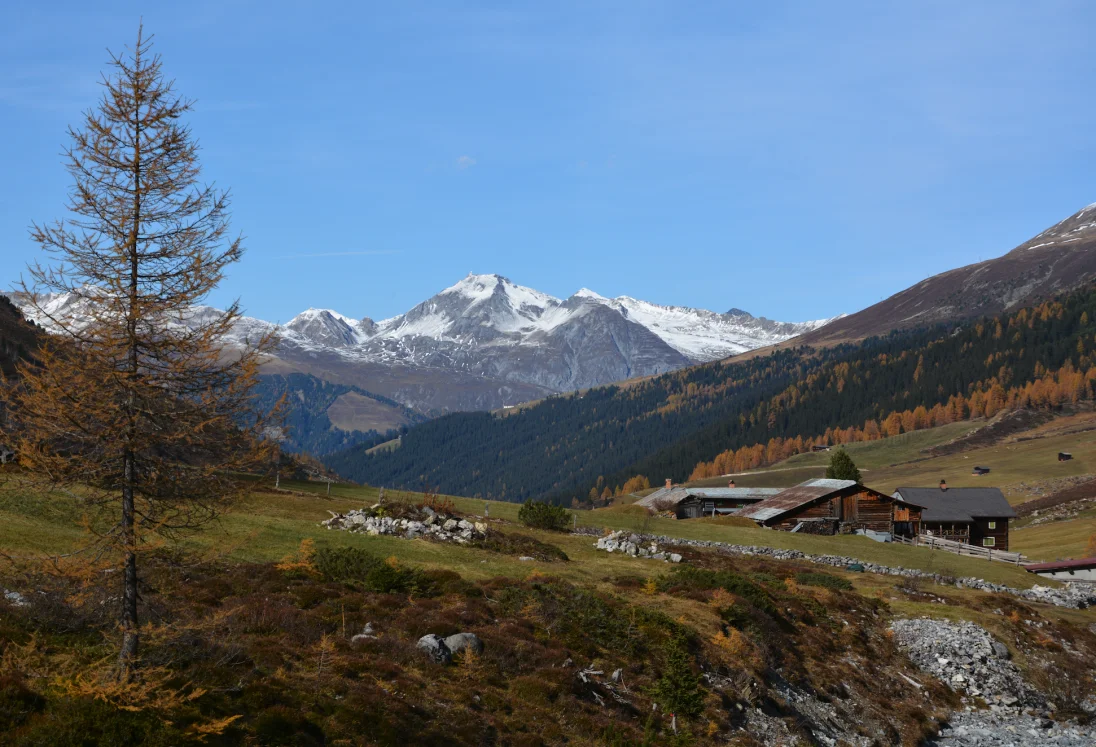 Bildschirmfoto 2020-12-06 um 20.23.47.png