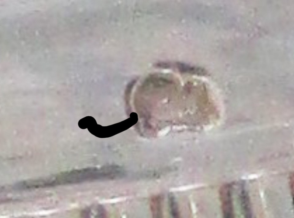 20201214_164334.jpg