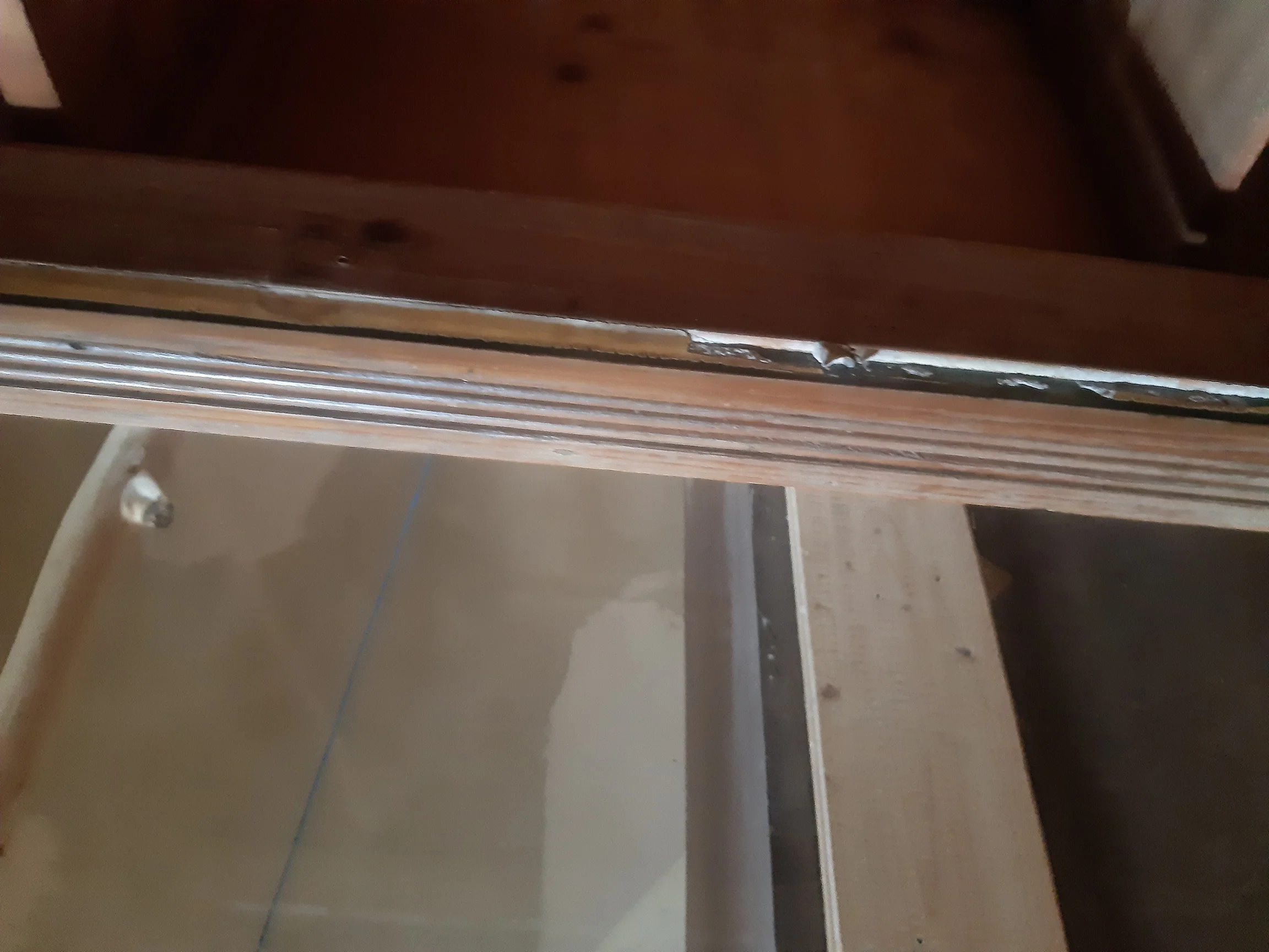 20201226_125607.jpg