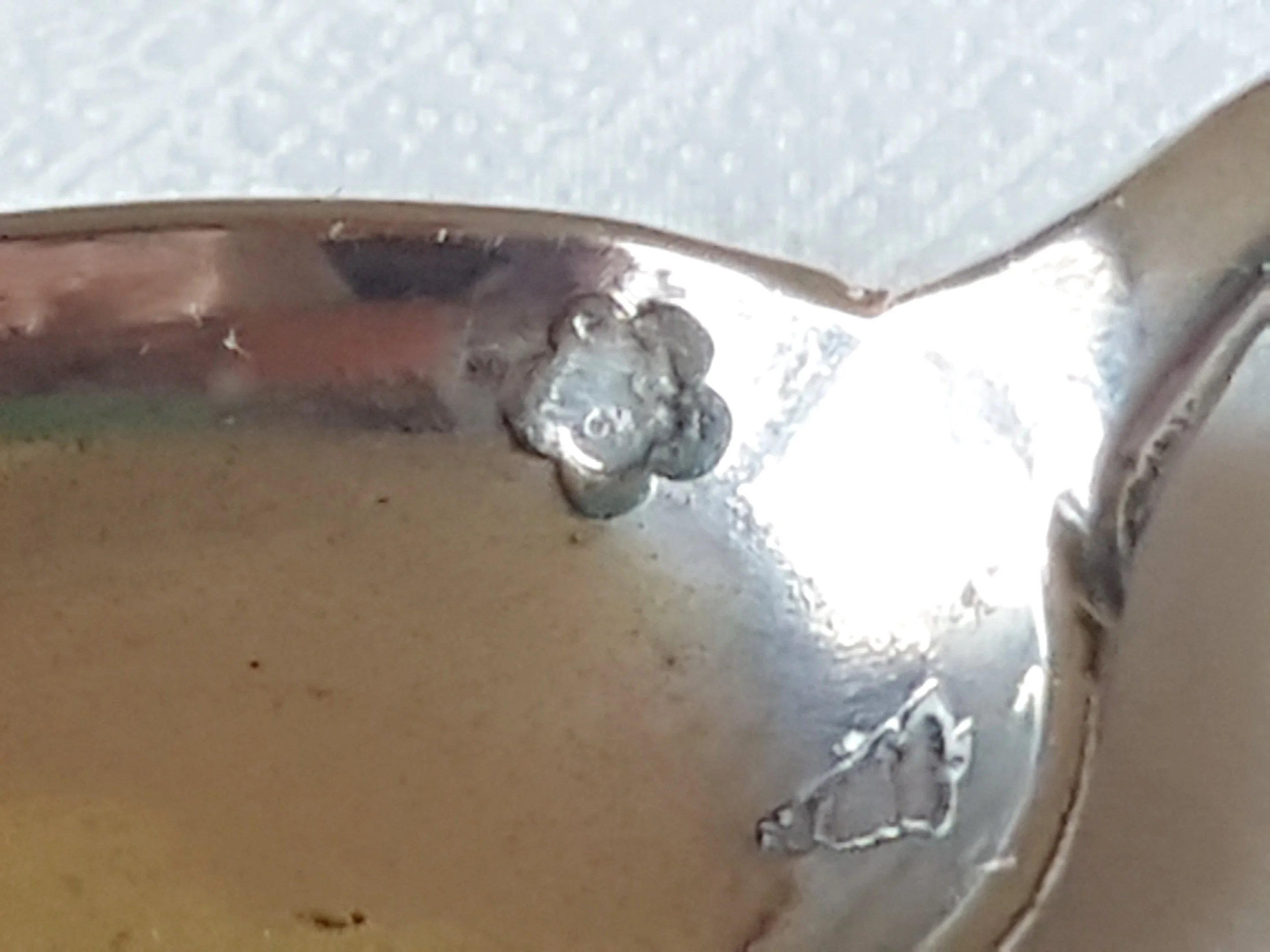 20210122_120224.jpg