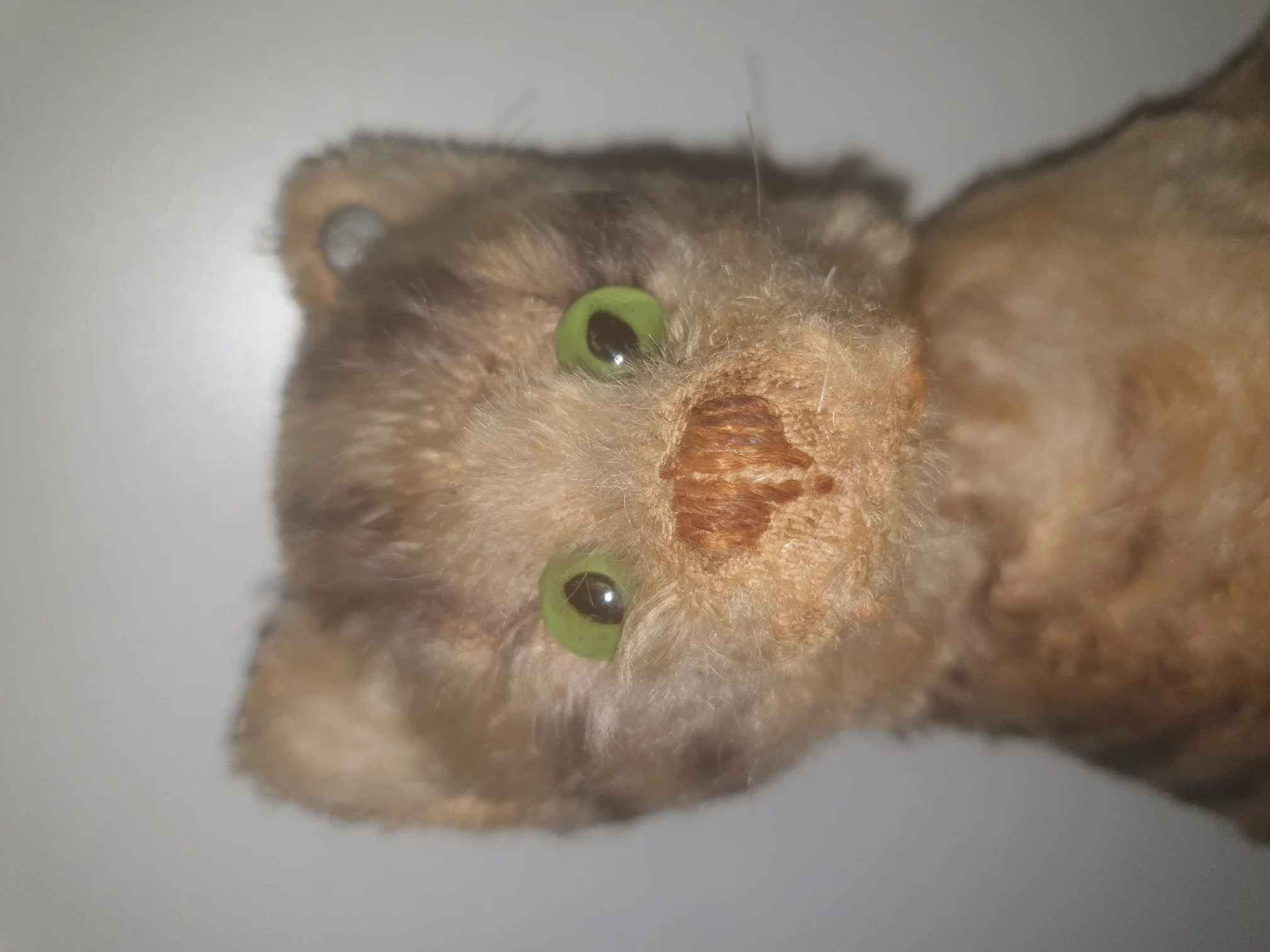 20210124_122346.jpg