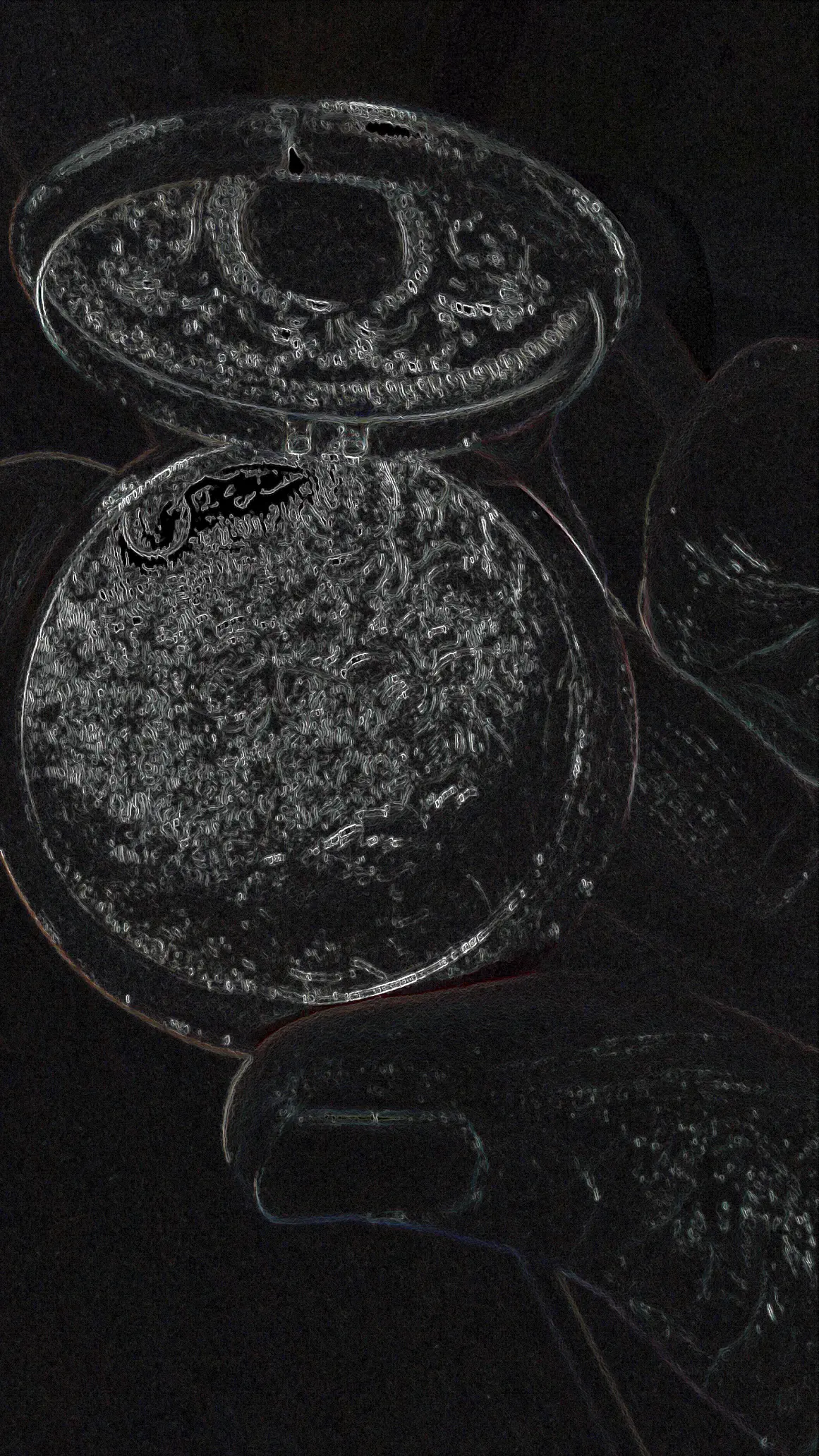 20210318_170236.jpg