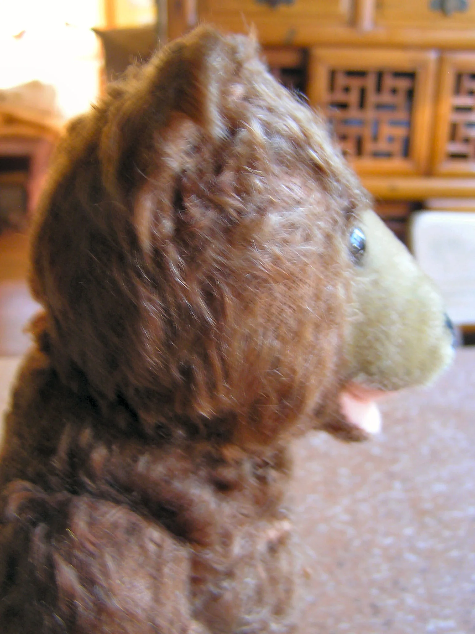 P1010017.JPG