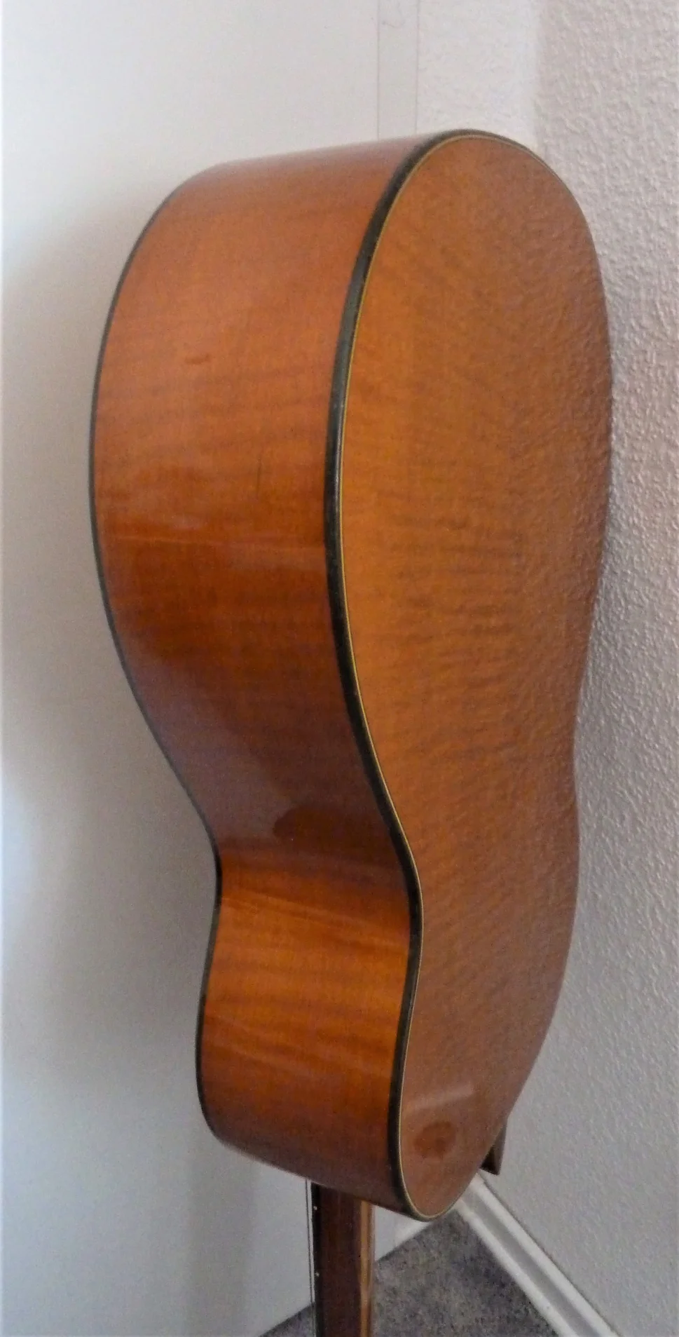 P1150201.JPG