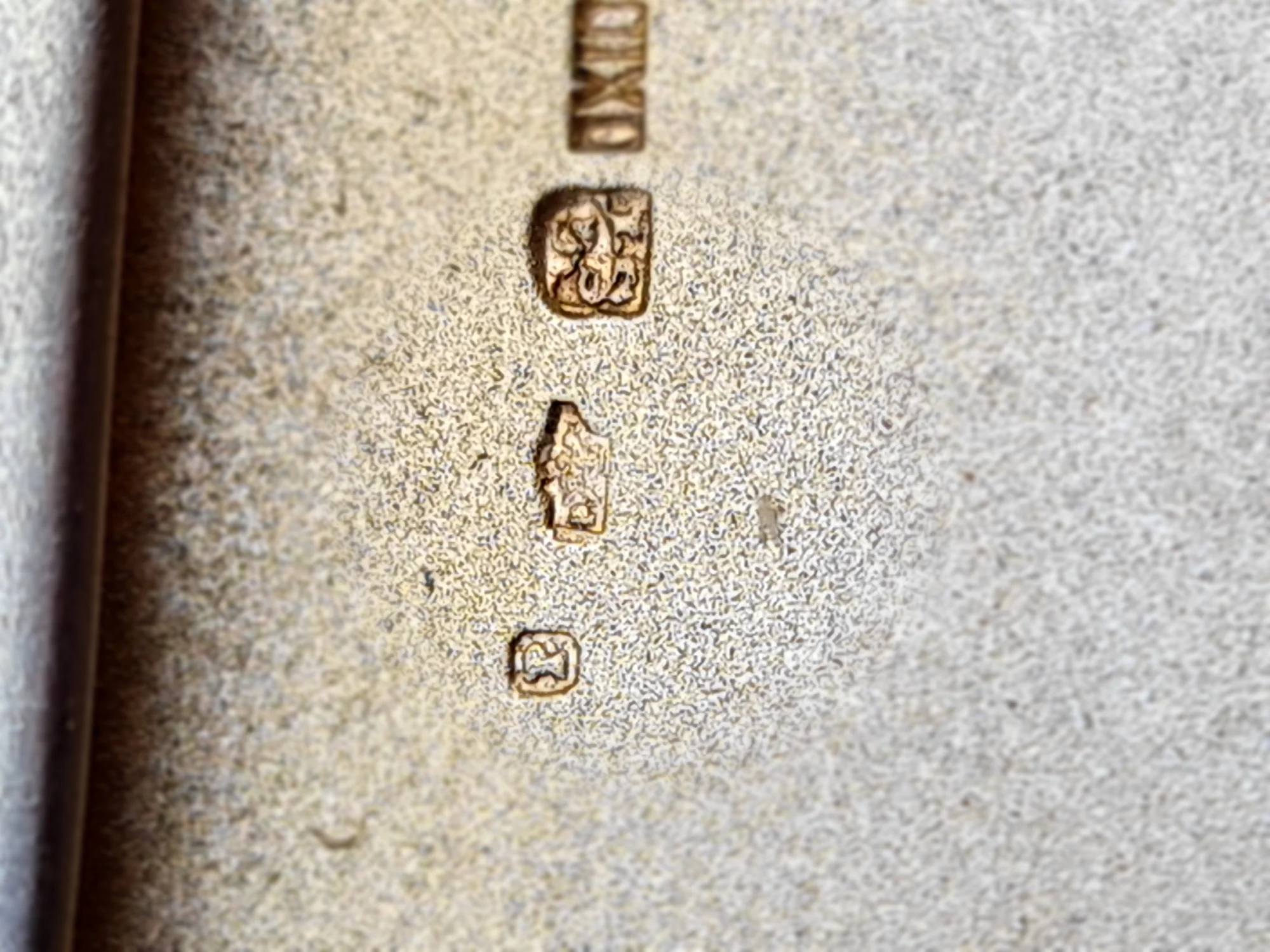 20210508_155025.jpg