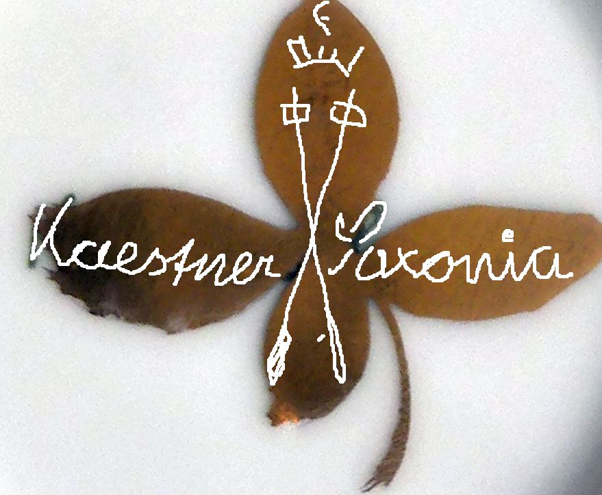 Kaestner Saxonia.jpg