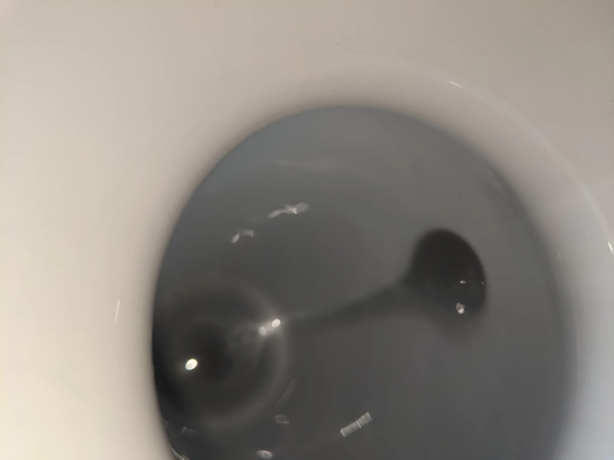 PXL_20210625_142736114.jpg