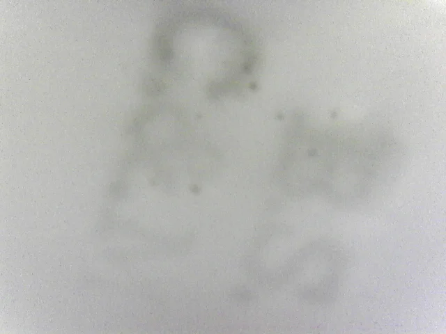 S20210704_0001.jpg