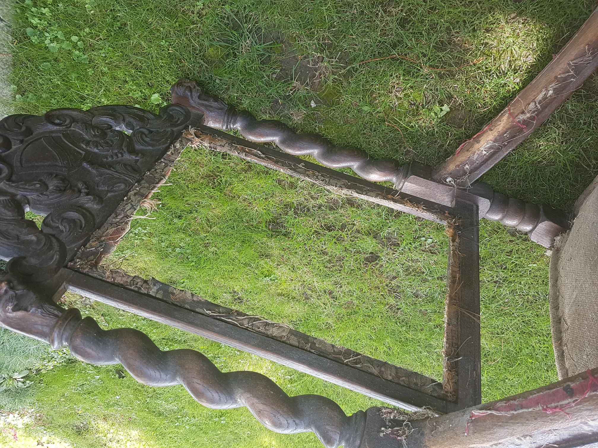 20210724_114031.jpg