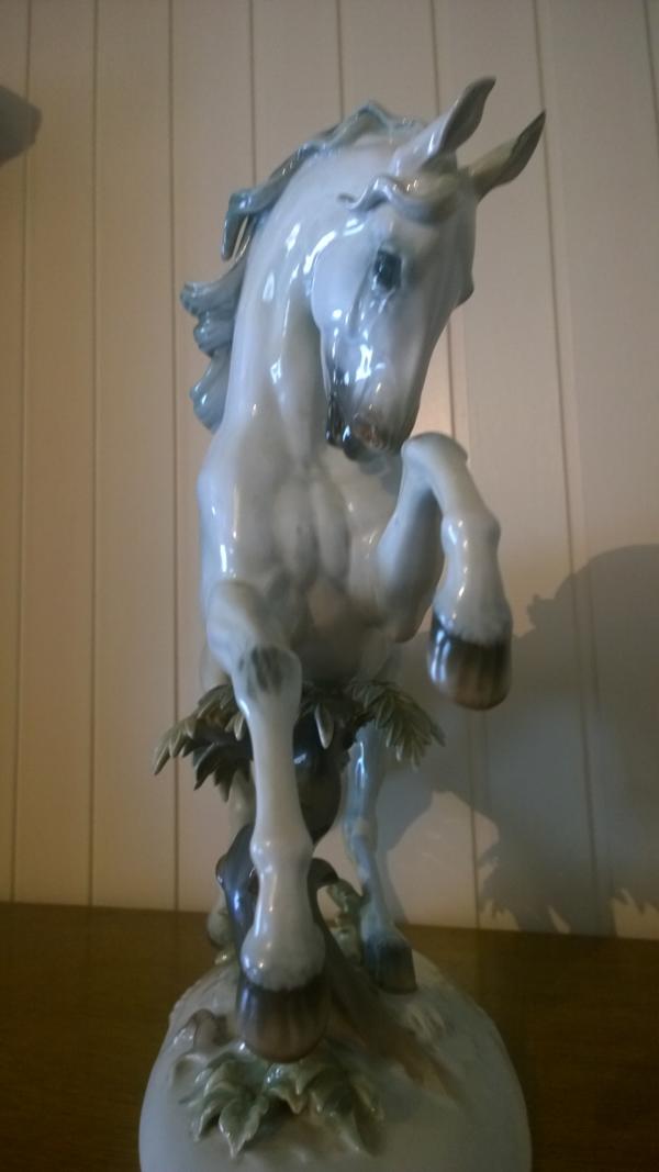 WP_20150830_006.JPG