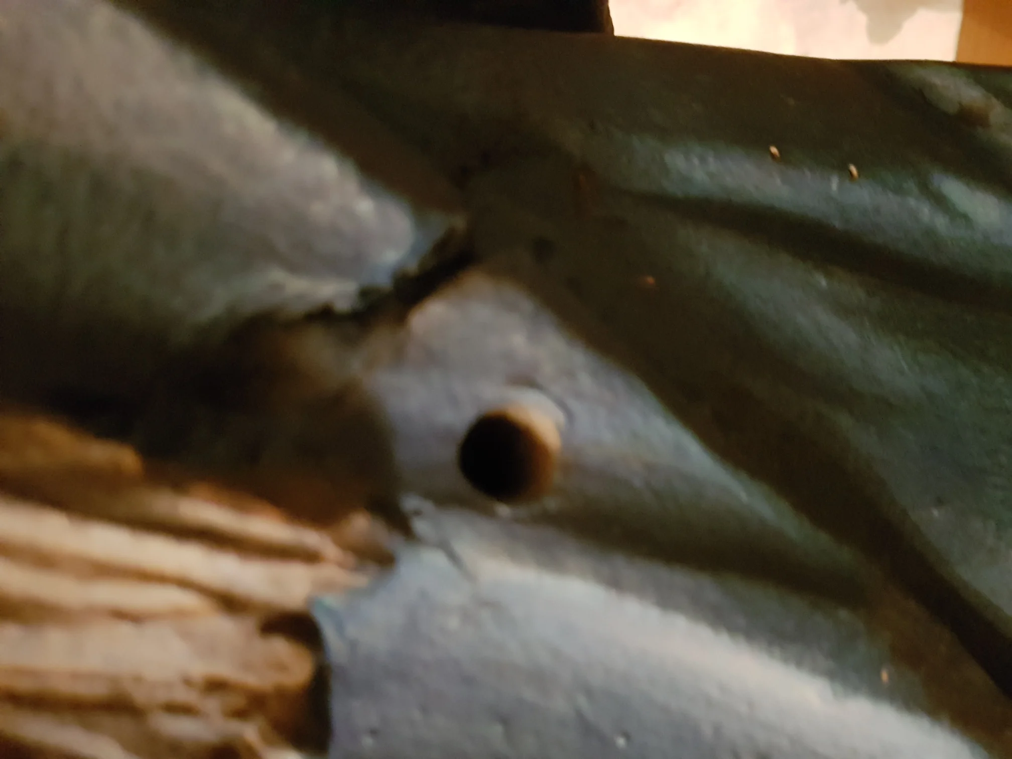 20210804_095744.jpg