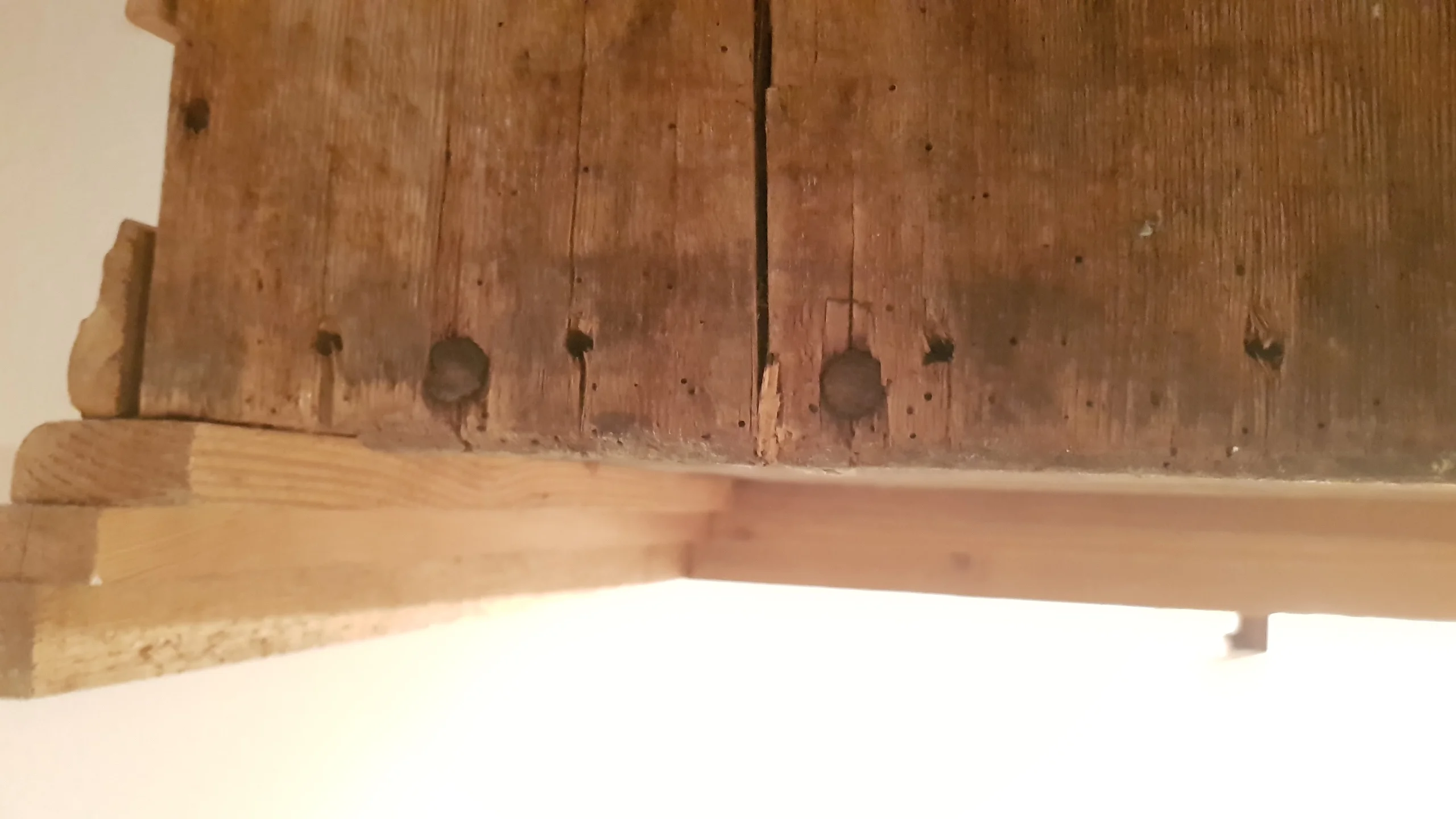 20210815_125619.jpg