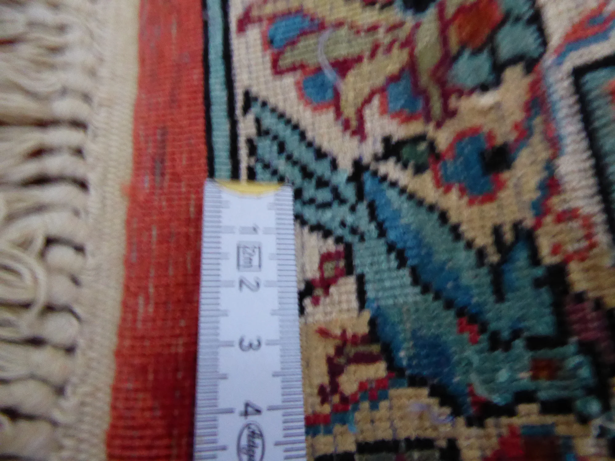P1000132.JPG