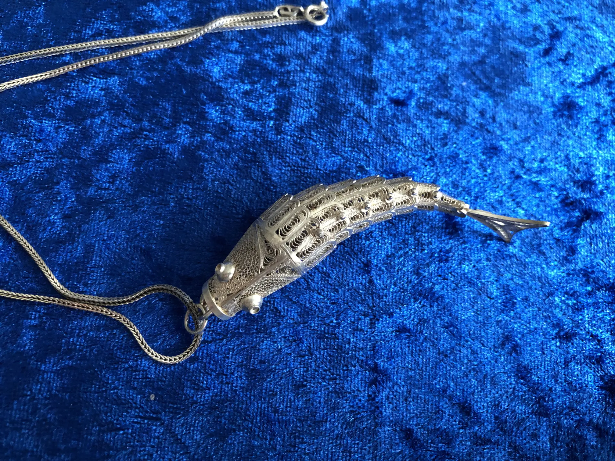 Fisch (3).JPG
