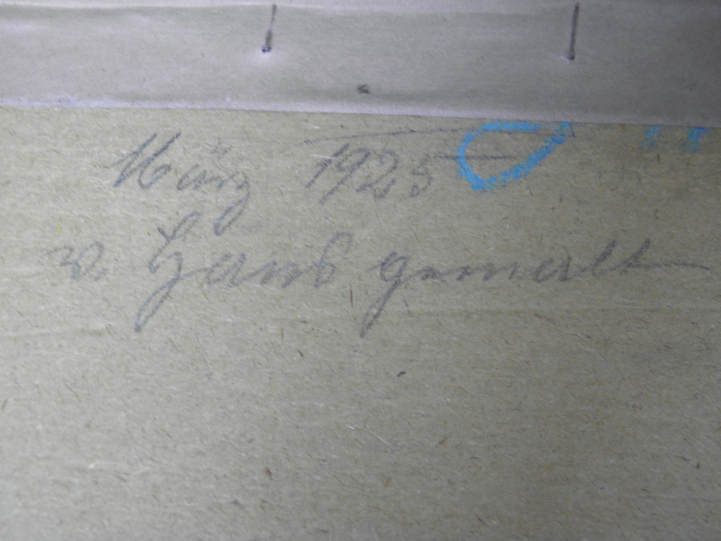 P7293491 (Large).JPG