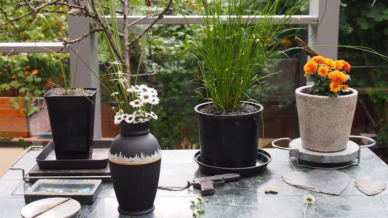 Chrysanthemum in Wedgwood Jasperware black P9230066.JPG