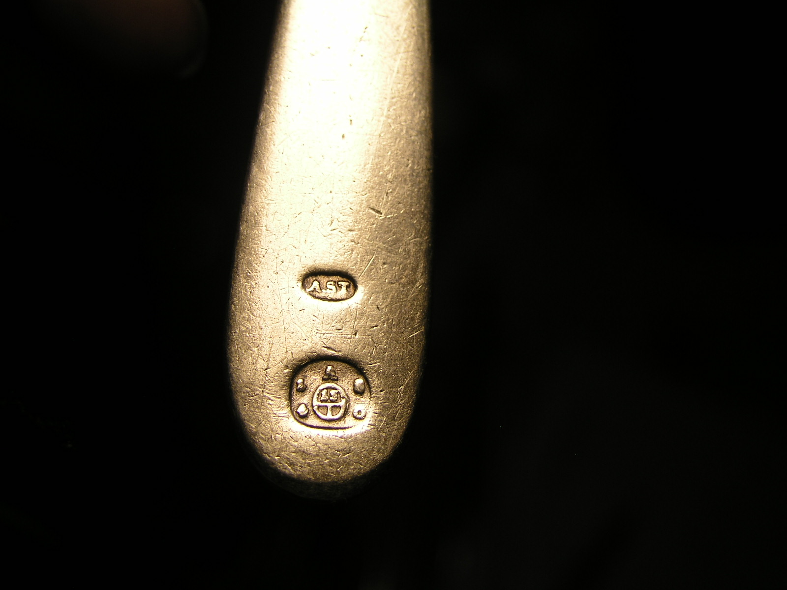 P1010038.JPG