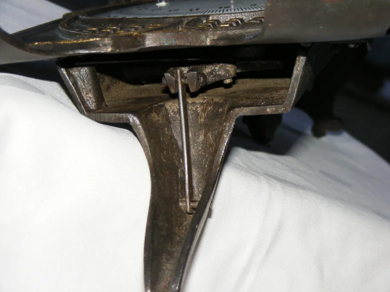 DSCF9914.JPG