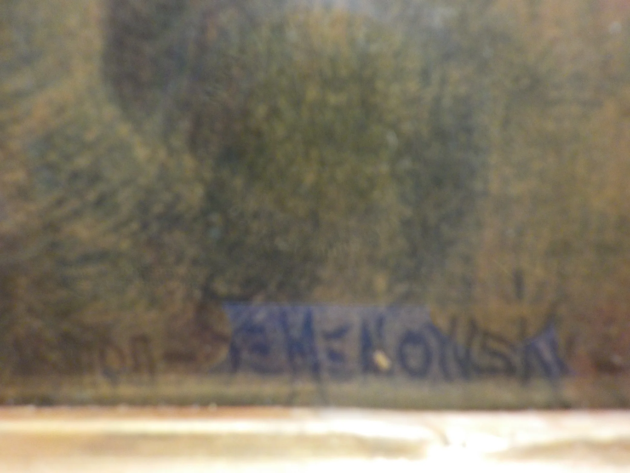 Altes Bild 5 Signatur.JPG