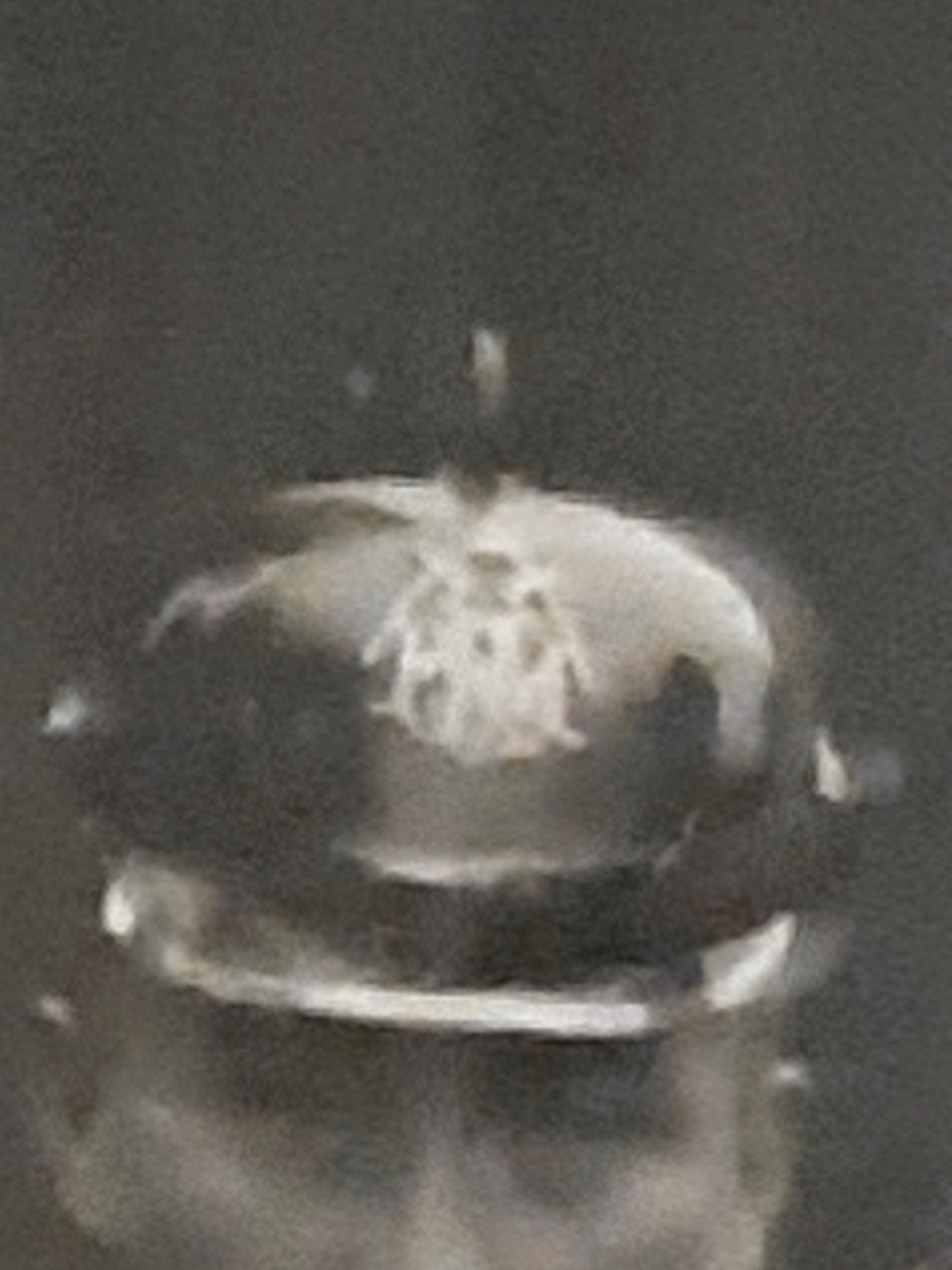 20211109_172726.jpg