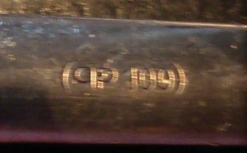 DSC06068 (2).JPG