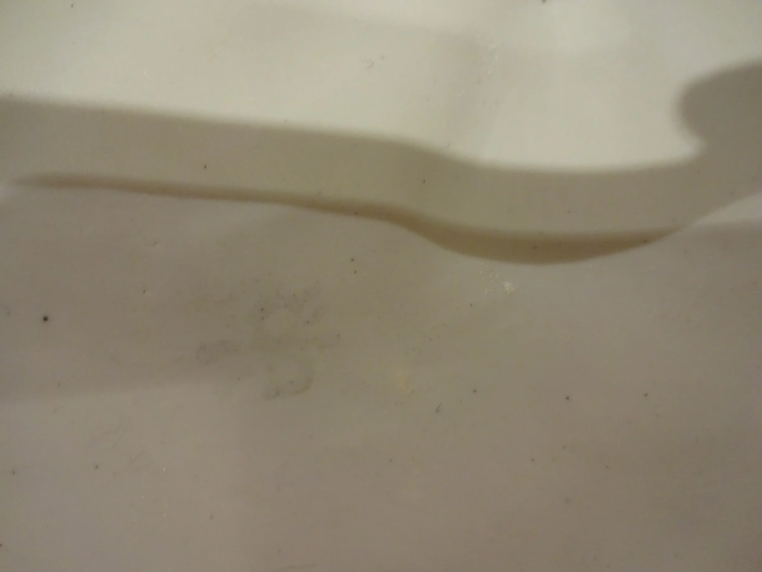 DSC01368.JPG
