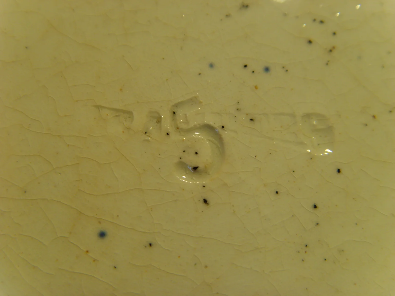 SNV31299.JPG