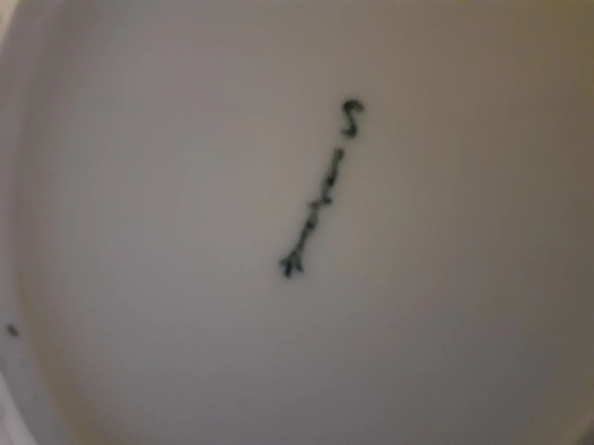 20211215_163015.jpg